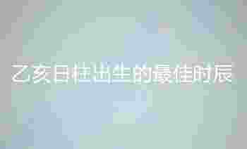 乙亥日柱出生的最佳时辰_乙亥日柱男命好不好