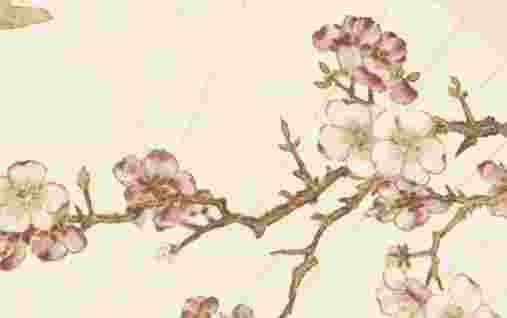 如何让自己走桃花运