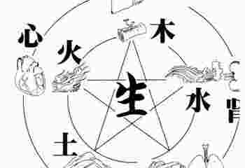 上身胖腿细的女人命运好吗_上身大下身小的女人