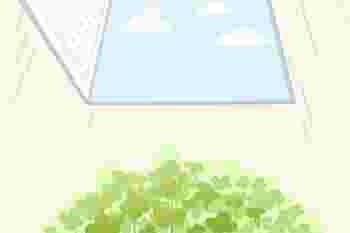卧室风水禁忌_卧室风水禁忌及化解