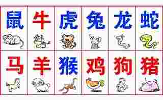 催旺财运的方法(增加财运的6个方法)