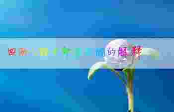 四两八钱女命最正确的解释_四两八钱女命一生总结