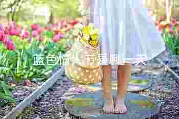蓝色情人节是哪一天_送什么花有意义