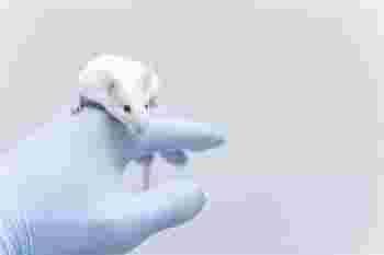 上嘴唇比较薄的女人