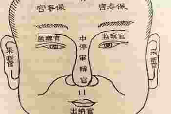 整容鼻子会改变运势吗_鼻子面相代表什么