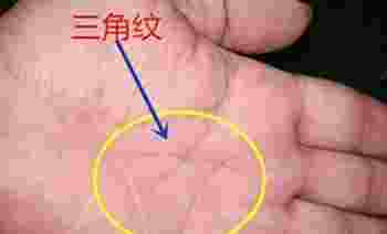 生命线分叉后形成三角代表什么_生命线分叉后形成三角图解-第2张-民俗文化-玉仓库