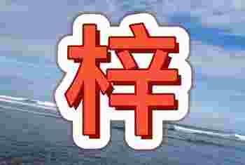 梓字取名女孩子_梓字取名的寓意女孩名字