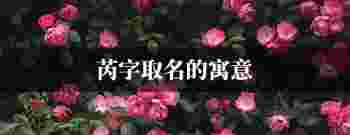 芮字取名的寓意男孩名字_芮字取名的寓意女孩名字兔年