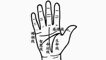 女人右手手掌纹路图解_女人手掌纹路图解右手川字纹