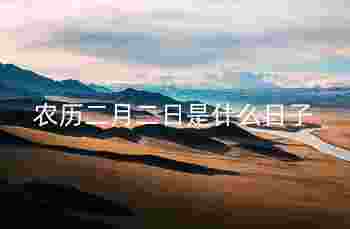 农历二月二日是什么日子_山东龙抬头的活动