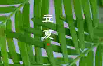 立夏每年都是5月5日吗_立夏有什么习俗呢