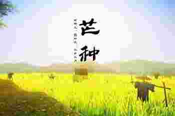 今年芒种节气开业好不好_开业祝福语