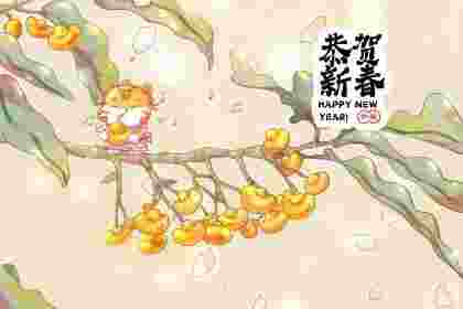 购买吉祥物要注意什么？什么吉祥物没有效果？
