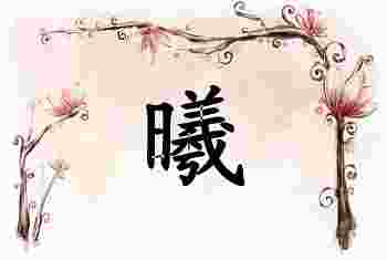 曦字取名的寓意和象征_曦字取名推荐