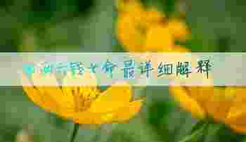 四两六钱女命最详细解释_四两六钱女命最正确详解