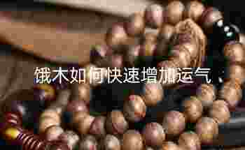 饿木如何快速增加运气_饿木命戴什么比较旺