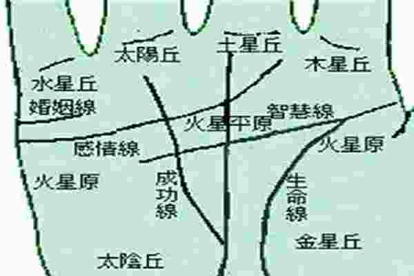 手相图解大全男左手_手相图解男生命线-第3张-民俗文化-玉仓库