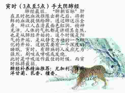 十二地支寅