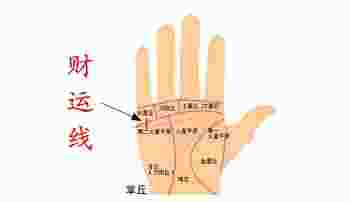 财运线是从哪一头开始看_财运线延伸至手掌根部