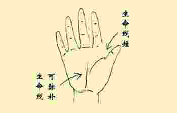 生命线是哪一条左手还是右手_生命线是哪一条图解