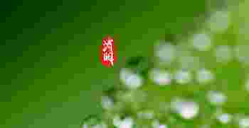 清明出生的孩子是不是好命_清明出生的孩子命好吗过来人