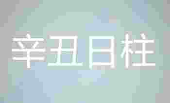辛丑日柱出生的最佳时辰_辛丑日柱男命好不好