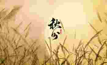 秋分是24节气的第几个节气_秋季第四个节气