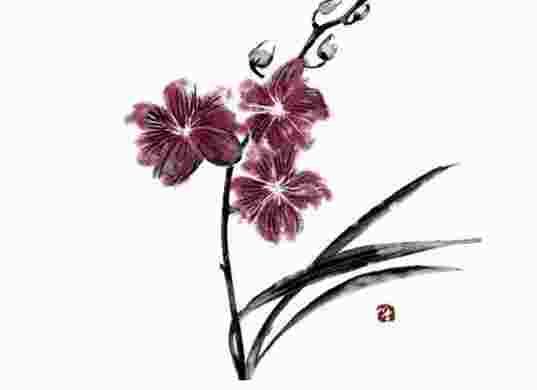 坐北朝南的房子吉位在哪