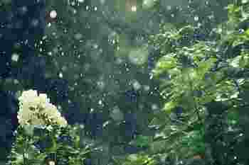 小满节气会下雨吗_哪个节气雨水最多