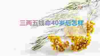 三两五钱命40岁后怎样_三两五钱命有几个孩子