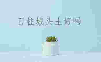 日柱城头土好吗_日柱城头土的人怎么样
