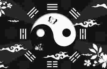 八字身旺的人如何增加财运_八字身旺的人有什么特点