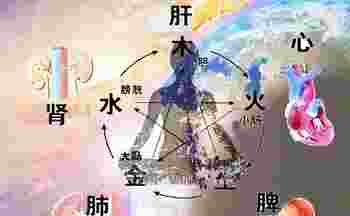 五脏与五行相对应肺属于什么_五脏与五行相对应其中肺属于